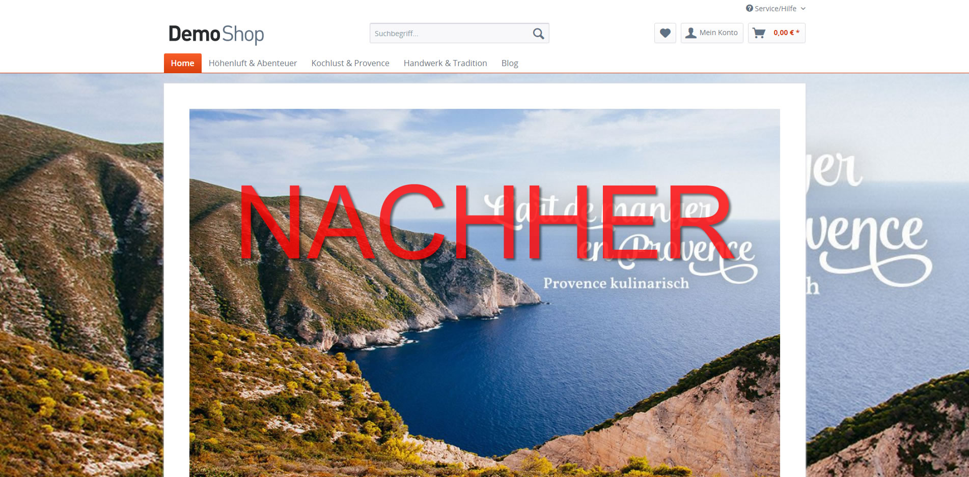 shopware-plugin-vollbild-hintergrund-global-kategorie-artikel-1.jpg