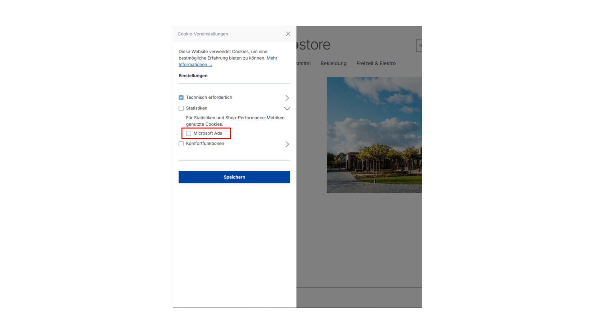 Microsoft Advertising Conversion Tracking